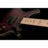PRS DW CE 24 “Floyd” Limited Edition