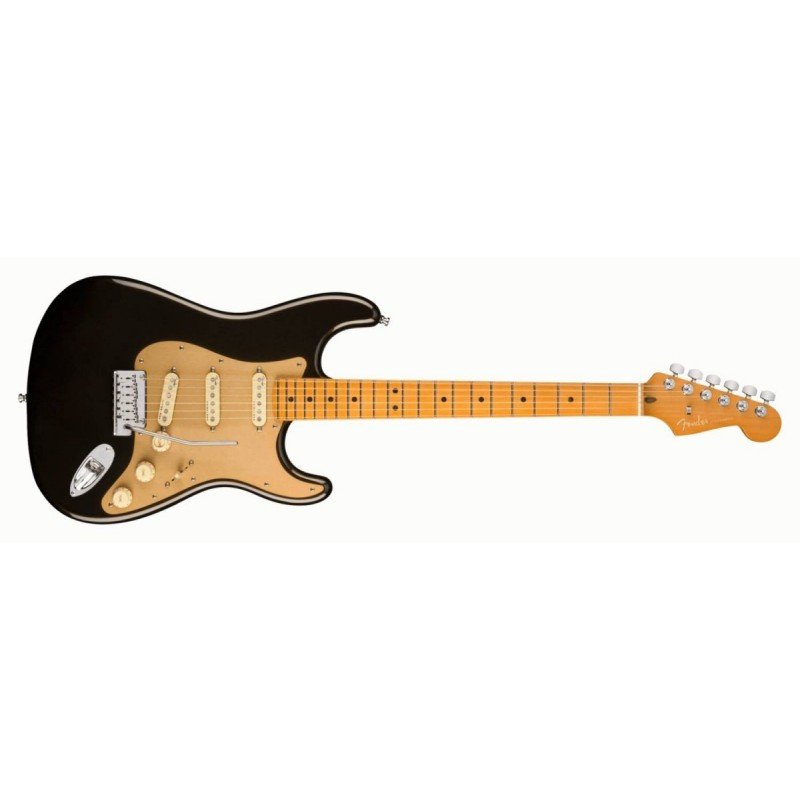 Fender 011-8012-790