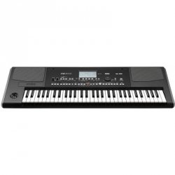 KORG PA300