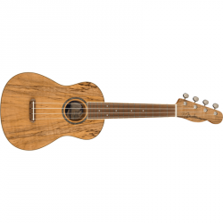 Fender Zuma Exotic Concert Ukulele Walnut Fingerboard Spalted Maple