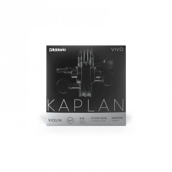 D'Addario Kaplan Vivo 4/4 D