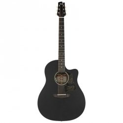 FGN AG1E Transparent Black Flat gitara elektro aku