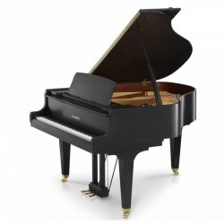 Kawai GL-30 166 cm