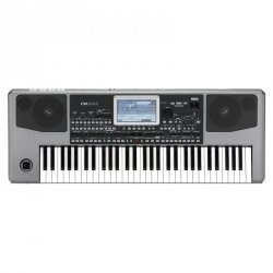 KORG PA900