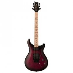 PRS DW CE 24 “Floyd” Limited Edition