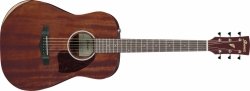 Ibanez PF14JR-OPN Open Pore Natural Dreadnought Junior