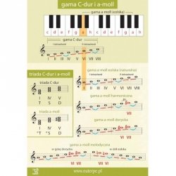 Euterpe 1315 Tablica nr 3 Gama C-dur i a-moll