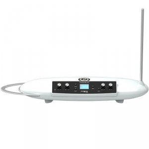 MOOG Theremini