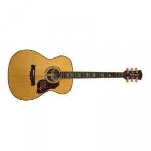 Richwood A-70-EVA Master Series Auditorium OOO