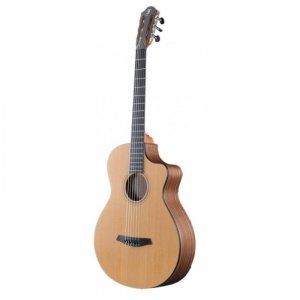 Furch GN2 CW + L.R. Baggs