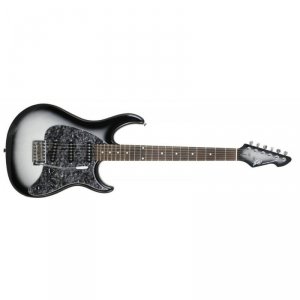 Peavey Raptor Custom Silverburst