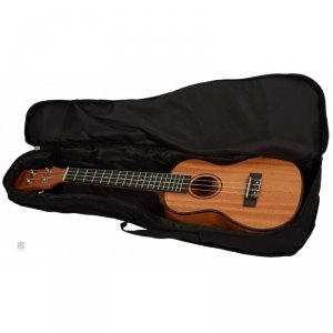 Cascha 2035 Premium Concert