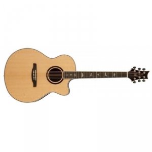 PRS SE Angelus Standard