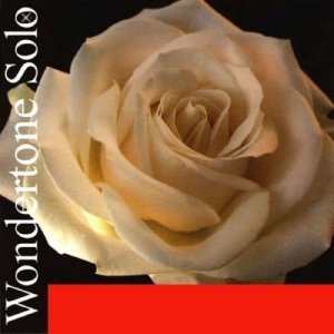 Pirastro Wondertone Solo A stalowa