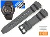 CASIO W-S220 -8AV oryginalny pasek 16 mm 10452414