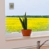 TFA 30.1067.15 WINDOO termometr okienny nowoczesny elektroniczny