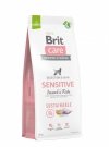  Brit Care Sustainable Sensitive Insect and Fish 12kg