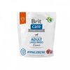 Brit Care Hypoallergenic Adult Large Breed Lamb 1kg