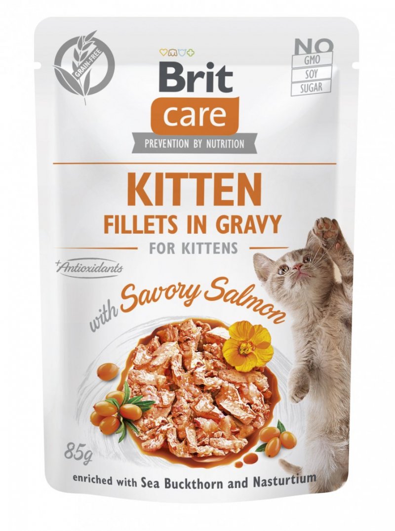 Brit Care Cat Kitten Łosoś filety w sosie 85g