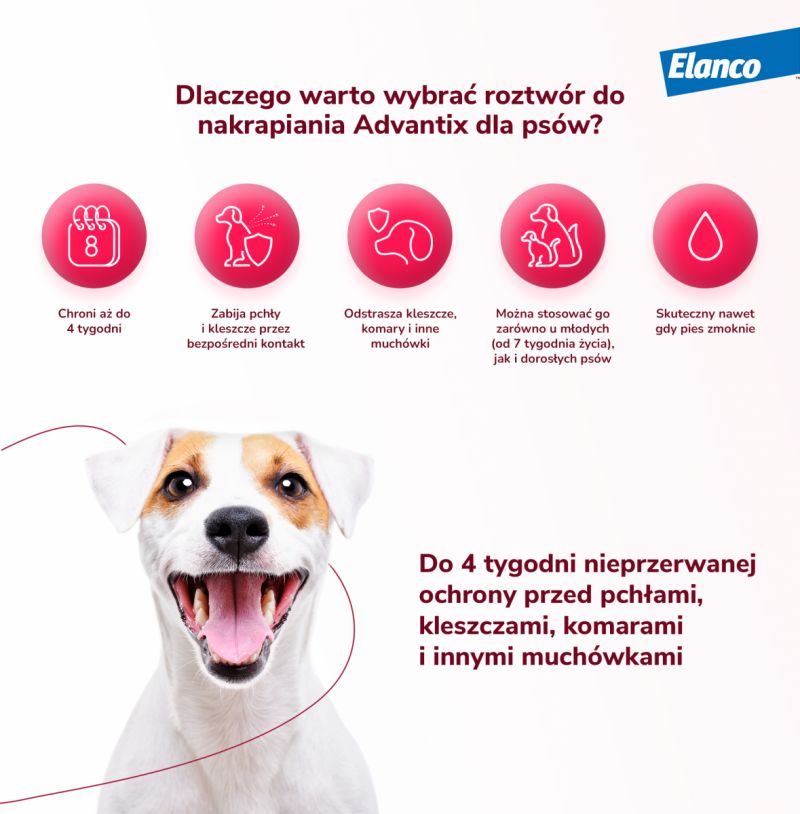 BAYER ADVANTIX dla małych psów – powyżej 4 do 10kg 1 pipeta