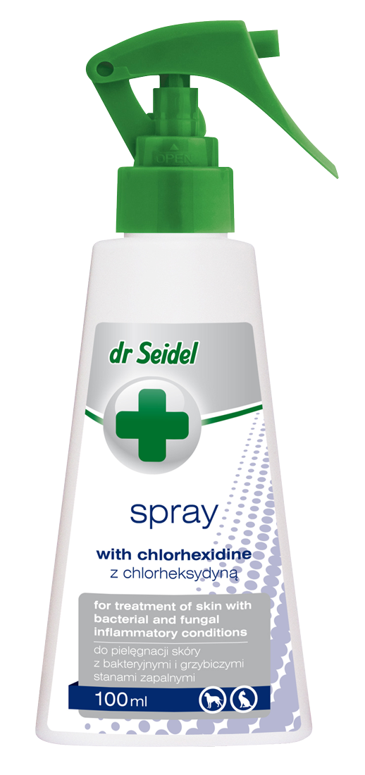 Dr Seidel spray z Chlorheksydyną 100ml