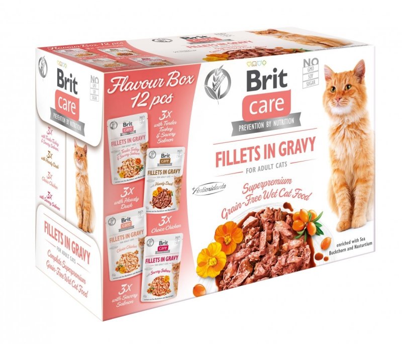 Brit Care Cat Pouch Multipack Filety w sosie 12x85g