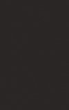 PARADYZ KW melby nero ściana 25x40 g1 250x400 g1 m2