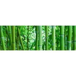CERAMIKA KOŃSKIE bamboo glass inserto 2x25x75 rect g1 kpl