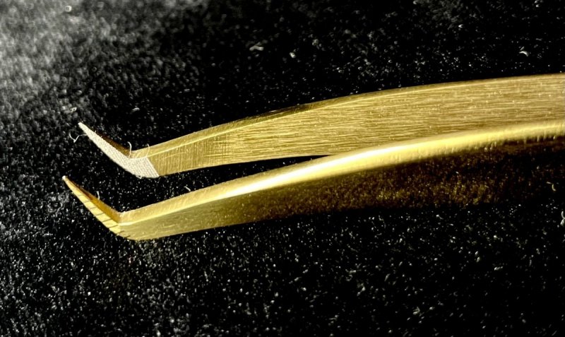 Pęseta HORUS Gold Nano Grip®