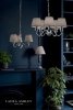 Żyrandol Abażurowy LAURA ASHLEY ELLIS LA3743655-Q DAR LIGHTING