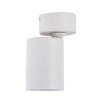 Oprawa ścienno sufitowa biała tuba reflektor spot kinkiet SNOW LP-731/1W WH Light Prestige