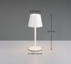 Lampka stołowa nocna LED biała owalna minimalistyczna klasyczna uniwersalna metalowa ściemnialna DIAZ IP44 R55961131 Rl