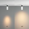Lampa sufitowa plafon spot minimalistyczna klasyczna LED regulowa tuba aluminium biała Focus Zoom MAYTONI C055CL-L12W3K-Z-W