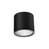 Lampa sufitowa natynkowa CONYON IP54 25W CCT SWITCH BK Azzardo