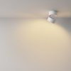 Lampa sufitowa natynkowa tuba regulowana spot sufitowy LED aluminium biała ONDA MAYTONI C024CL-12W2.7K-W-1
