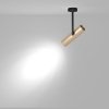 Nowoczesny Spot Sufitowy ELTI C020CL-01GB MAYTONI