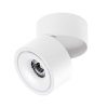 Oprawa sufitowa BIAŁA tuba kierunkowa AZZARDO COSTA LED 12W CCT SWITCH WH AZ6032