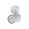 Oprawa ścienno sufitowa biała tuba reflektor spot kinkiet SNOW LP-731/1W WH Light Prestige