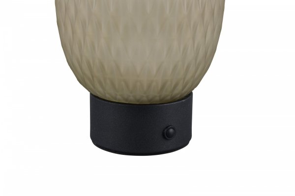 Lampa stołowa nocna LED designerska nowoczesna dekoracyjna na komodę szklany klosz ściemnialna owalna FACETTE 564210115 Trio