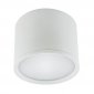OPRAWA SUFITOWA LED 10W 4000K DOWNLIGHT TUBA BIAŁA IDEUS ROLEN LED 03109 NOWOCZESNA 