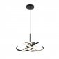 Designerska lampa wisząca czarna LED CCT dekoracyjna owalna geometryczna Spider LP-1225/1P 48 BK Light Prestige 