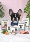 Amanova Dog Adult Tasty Salmon & Turkey - łosoś i indyk saszetka 300g [P06]