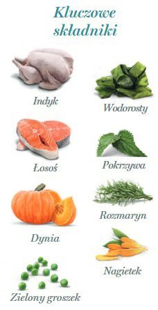 Amanova Dog Adult Tasty Salmon & Turkey - łosoś i indyk saszetka 100g [P06]