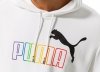 Puma bluza męska Essentials Rainbow Hoodie TR 848678-02