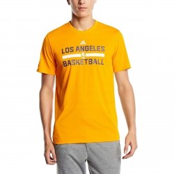 Adidas t-shirt męski Los Angeles Lakers AA7933