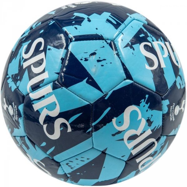 Tottenham Hotspur piłka nożna 70098224