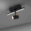 Lampa sufitowa reflektorek na GU10 BARIK 2 - punktowa czarny PaulNeuhaus - 6523-18
