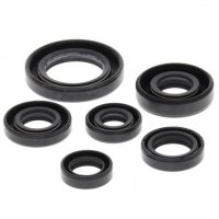 WINDEROSA (VERTEX) KOMPLET (ZESTAW) USZCZELNIACZY SILNIKOWYCH HONDA TRX300 EX 93-08, TRX300 X 09 