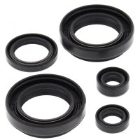 WINDEROSA (VERTEX) KOMPLET (ZESTAW) USZCZELNIACZY SILNIKOWYCH ARCTIC CAT 400 4X4 W/MT 03-04, LTF400F 4WD/2WD KING QUAD 08-12 