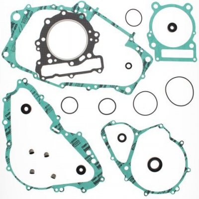 WINDEROSA (VERTEX) KOMPLET USZCZELEK Z USZCZELNIACZAMI SILNIKOWYMI CAN-AM DS650 00-07